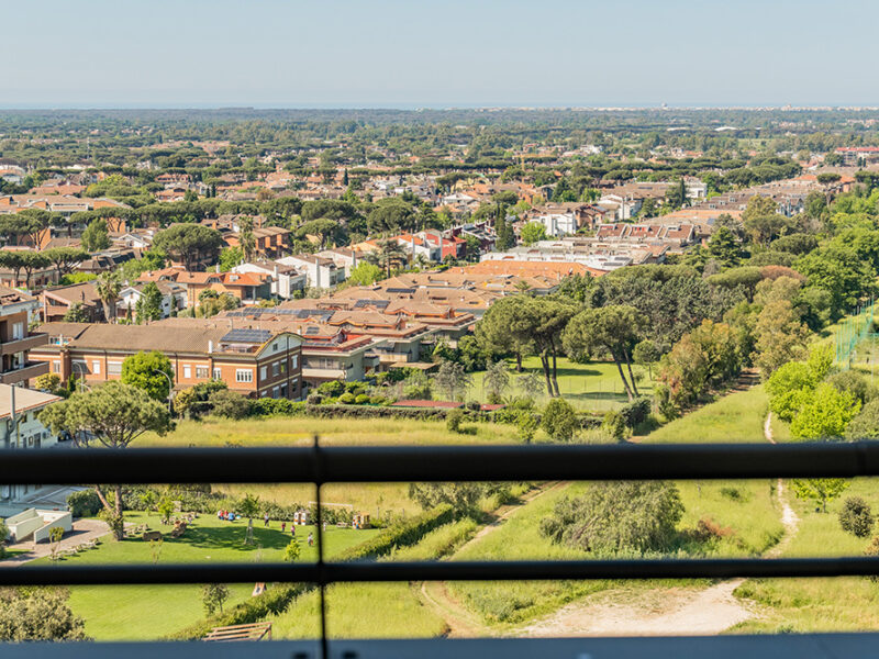vista